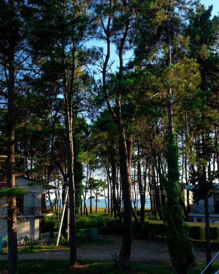 Restcoast Villa Shekhvetili Bagian luar foto