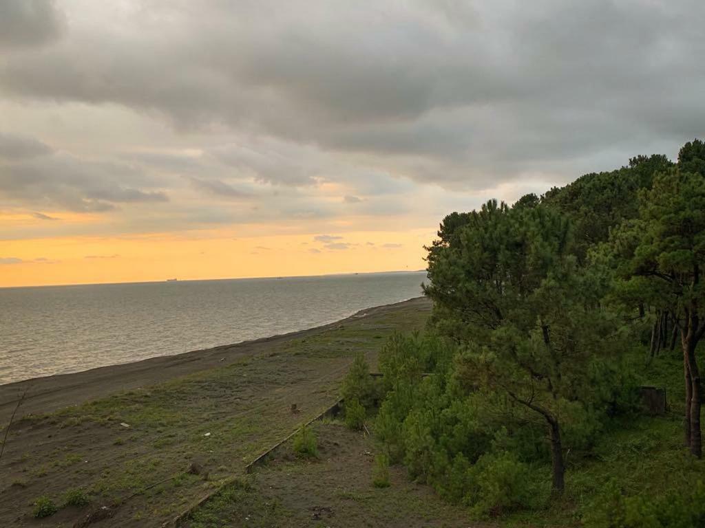 Restcoast Villa Shekhvetili Bagian luar foto